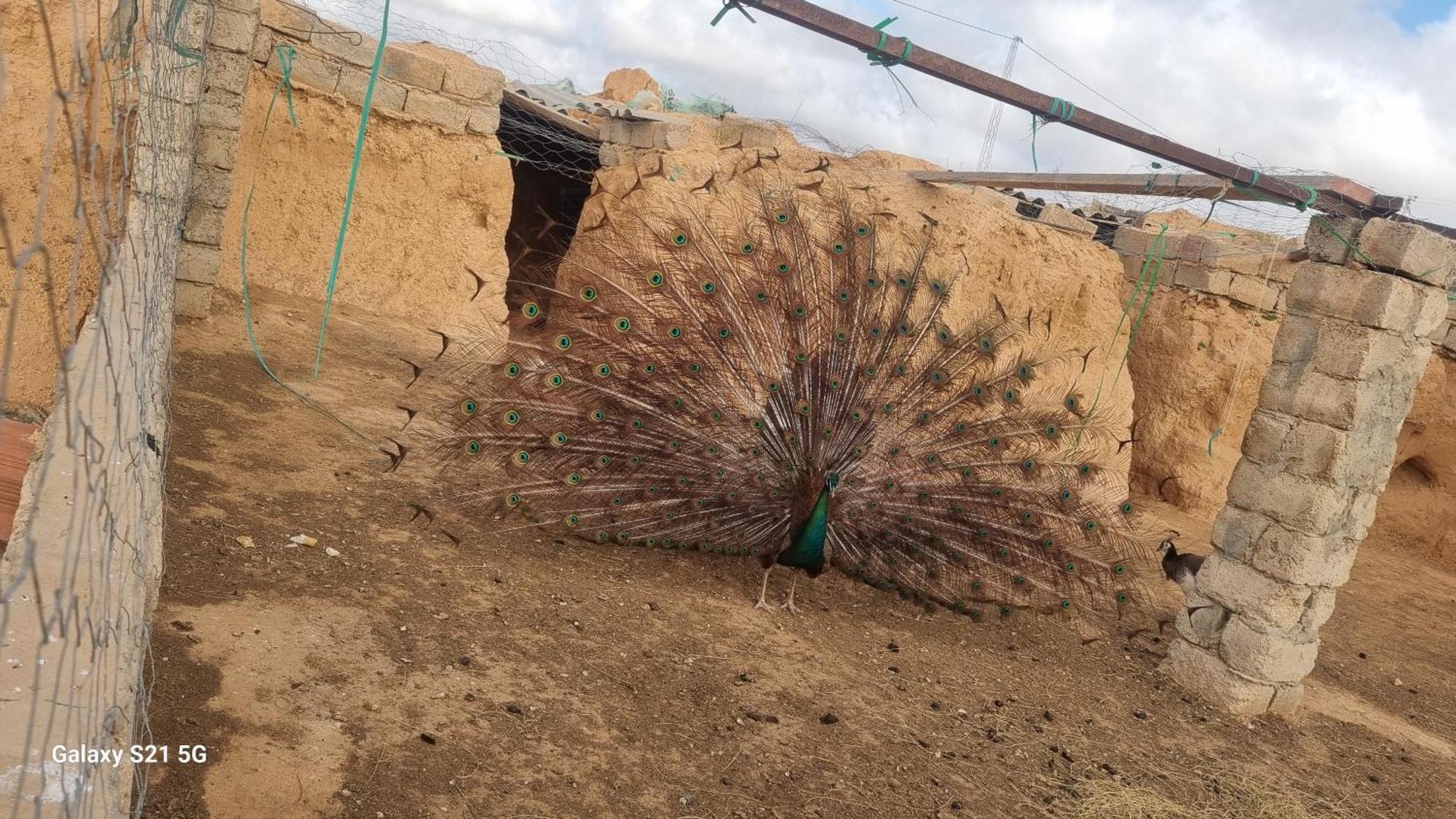 Maison D'Hote Dar Massouada Toujane エクステリア 写真