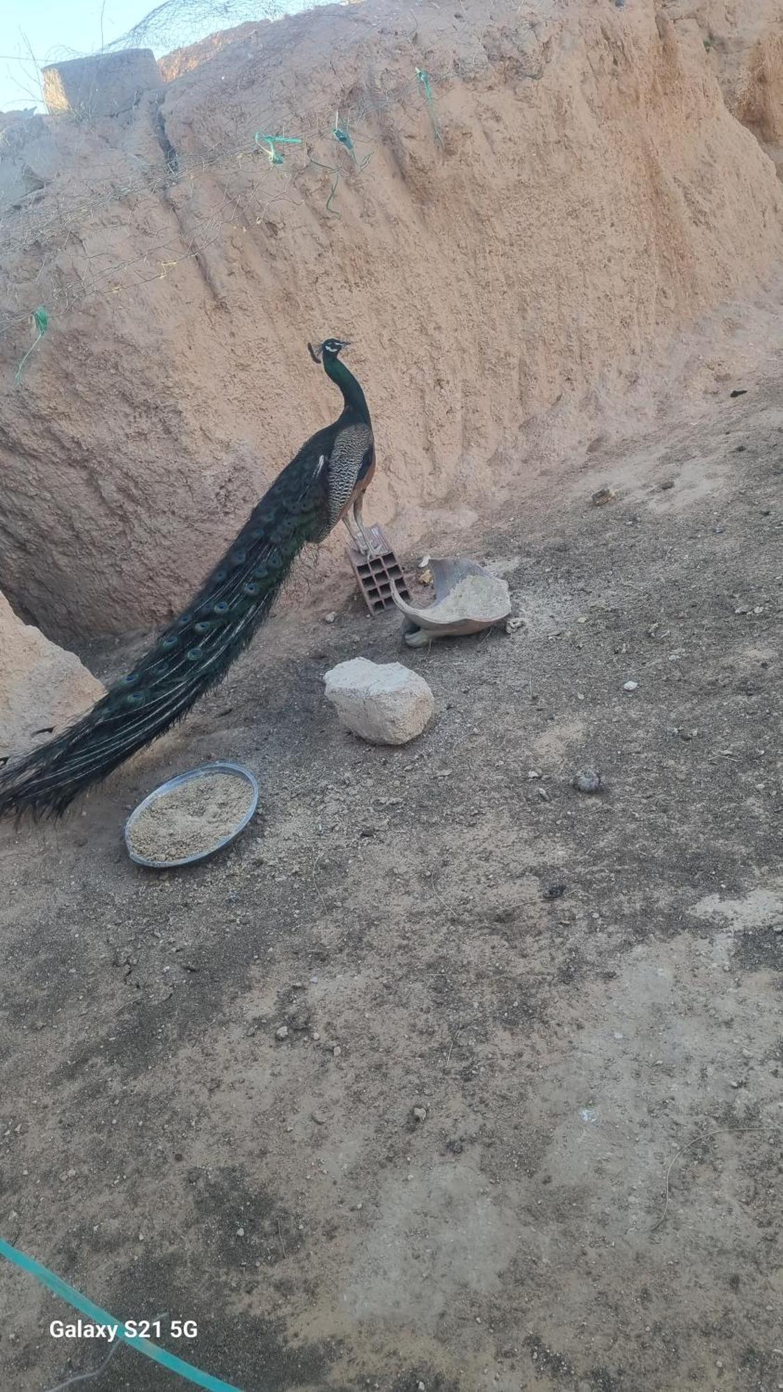 Maison D'Hote Dar Massouada Toujane エクステリア 写真